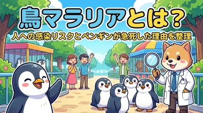 鳥マラリアとは？人への感染リスクとペンギンが急死した理由を整理